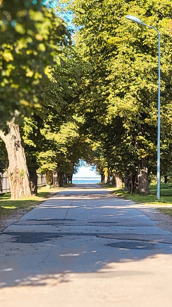 Tree-lined path leading to the Baltic Sea in Liepaja, Latvia. Perfect for a scenic walk or bike ride.