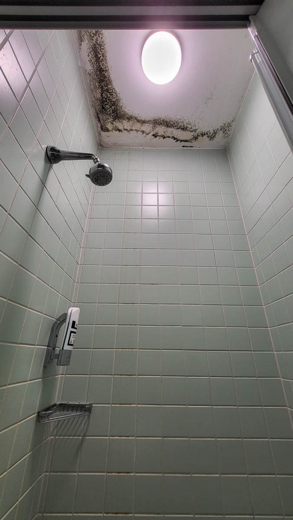 A tiled shower stall with a round ceiling light, but the ceiling is covered with black mold, especially around the edges. The showerhead and a soap dispenser are mounted on the wall, contrasting with the unclean appearance of the ceiling.